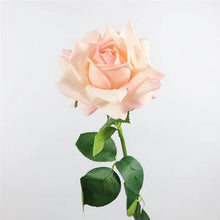 Load image into Gallery viewer, Rose Real Touch Single Head Artificial Silk Flower Stem Champagne ROSE083
