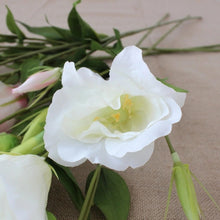 Load image into Gallery viewer, Lisianthus 7 Heads Artificial Silk Flower 67cm Stem White LISIANTHUS001

