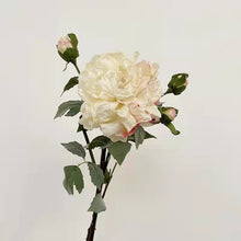 Load image into Gallery viewer, Peony 2 Heads Artificial Silk Flower 58cm Stem PEONY028-031
