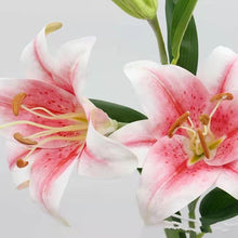 Load image into Gallery viewer, Lily Artificial Silk Flowers Oriental Lily Pink LILY004
