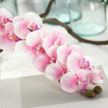 Load image into Gallery viewer, Orchid 7 Heads Artificial Silk Flower Stem ORCHID032-034
