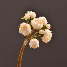Load image into Gallery viewer, Peony 9 Heads Artificial Silk Flower Bunch PEONY004-006
