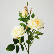 Load image into Gallery viewer, Rose Paris 3 Heads Artificial Silk Flower Stem PARISROSE031-035
