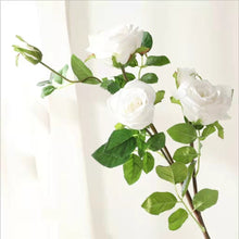 Load image into Gallery viewer, Rose Real Touch 5 Heads Artificial Multi-colour ROSE0015-0019

