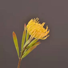 Load image into Gallery viewer, Leucospermum Artificial Silk Flower 44cm Stem Yellow LEUCOSPERMUM005
