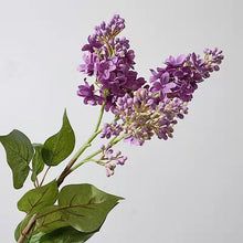 Load image into Gallery viewer, Lilac Artificial Silk Flowers 71cm Stem Violet LILAC004
