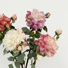 Load image into Gallery viewer, Peony 2 Heads Artificial Silk Flower 58cm Stem PEONY028-031

