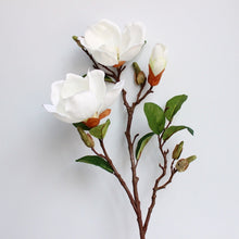 Load image into Gallery viewer, Magnolia Artificial Silk Flowers 70cm Stem MAGONILIA008-010
