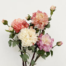 Load image into Gallery viewer, Peony 2 Heads Artificial Silk Flower 58cm Stem PEONY028-031
