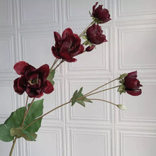 Load image into Gallery viewer, Windflower Anemone Artificial Silk Flowers 94cm Spray Stem WINDERFLOWER004-005
