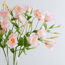 Load image into Gallery viewer, Lisianthus 7 Heads Artificial Silk Flowers 67cm Stem Pink LISIANTHUS002
