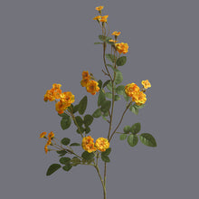 Load image into Gallery viewer, Multiflora rose Artificial Flower Stem MULTIFLORAROSE002-3
