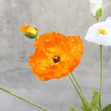 Load image into Gallery viewer, Poppy 105CM Artificial Silk Flowers Stem Orange-yellow 002
