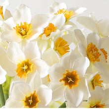Load image into Gallery viewer, Narcissus Daffodils Artificial Silk Flower Bunch White NARCI001
