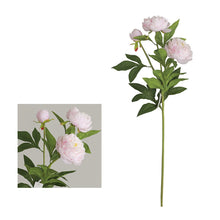 Load image into Gallery viewer, Peony 3 Heads Artificial Silk Flower Stem 5 color Selections
