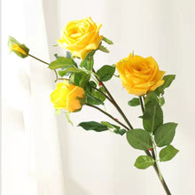 Load image into Gallery viewer, Rose Real Touch 5 Heads Artificial Multi-colour ROSE0015-0019
