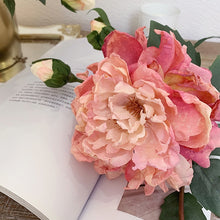Load image into Gallery viewer, Peony 2 Heads Artificial Silk Flower 58cm Stem PEONY028-031
