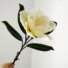 Load image into Gallery viewer, Magnolia Single 85cm Stem Artificial Silk Flowers MAGNOLIA0010-012
