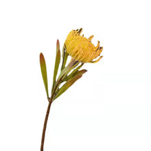 Load image into Gallery viewer, Leucospermum Artificial Silk Flower 44cm Stem Yellow LEUCOSPERMUM005
