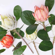 Load image into Gallery viewer, Protea Artificial Silk Flowers 55cm Stem PROTEA009-013
