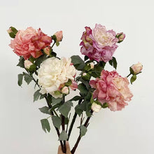 Load image into Gallery viewer, Peony 2 Heads Artificial Silk Flower 58cm Stem PEONY028-031
