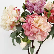 Load image into Gallery viewer, Peony 2 Heads Artificial Silk Flower 58cm Stem PEONY028-031
