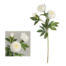 Load image into Gallery viewer, Peony 3 Heads Artificial Silk Flower Stem 5 color Selections
