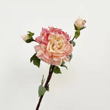 Load image into Gallery viewer, Peony 2 Heads Artificial Silk Flower 58cm Stem PEONY028-031
