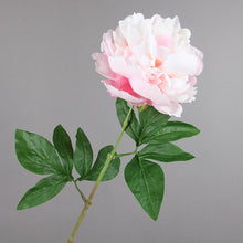 Load image into Gallery viewer, Peony Single Heads Artificial Flower Stem 5 color Selection
