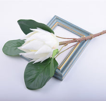 Load image into Gallery viewer, Protea Artificial Silk Flowers 55cm Stem PROTEA009-013
