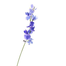 Load image into Gallery viewer, Sweet Pea Flowers Artificial Silk Stem SWEETPEA001-002
