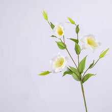Load image into Gallery viewer, Lisianthus 7 Heads Artificial Silk Flower 67cm Stem White LISIANTHUS001
