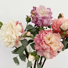 Load image into Gallery viewer, Peony 2 Heads Artificial Silk Flower 58cm Stem PEONY028-031
