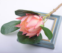 Load image into Gallery viewer, Protea Artificial Silk Flowers 55cm Stem PROTEA009-013
